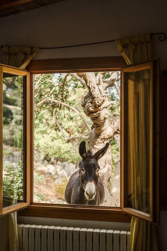 Casa Tramuntana Villa ไบเดมอสซา ห้อง รูปภาพ