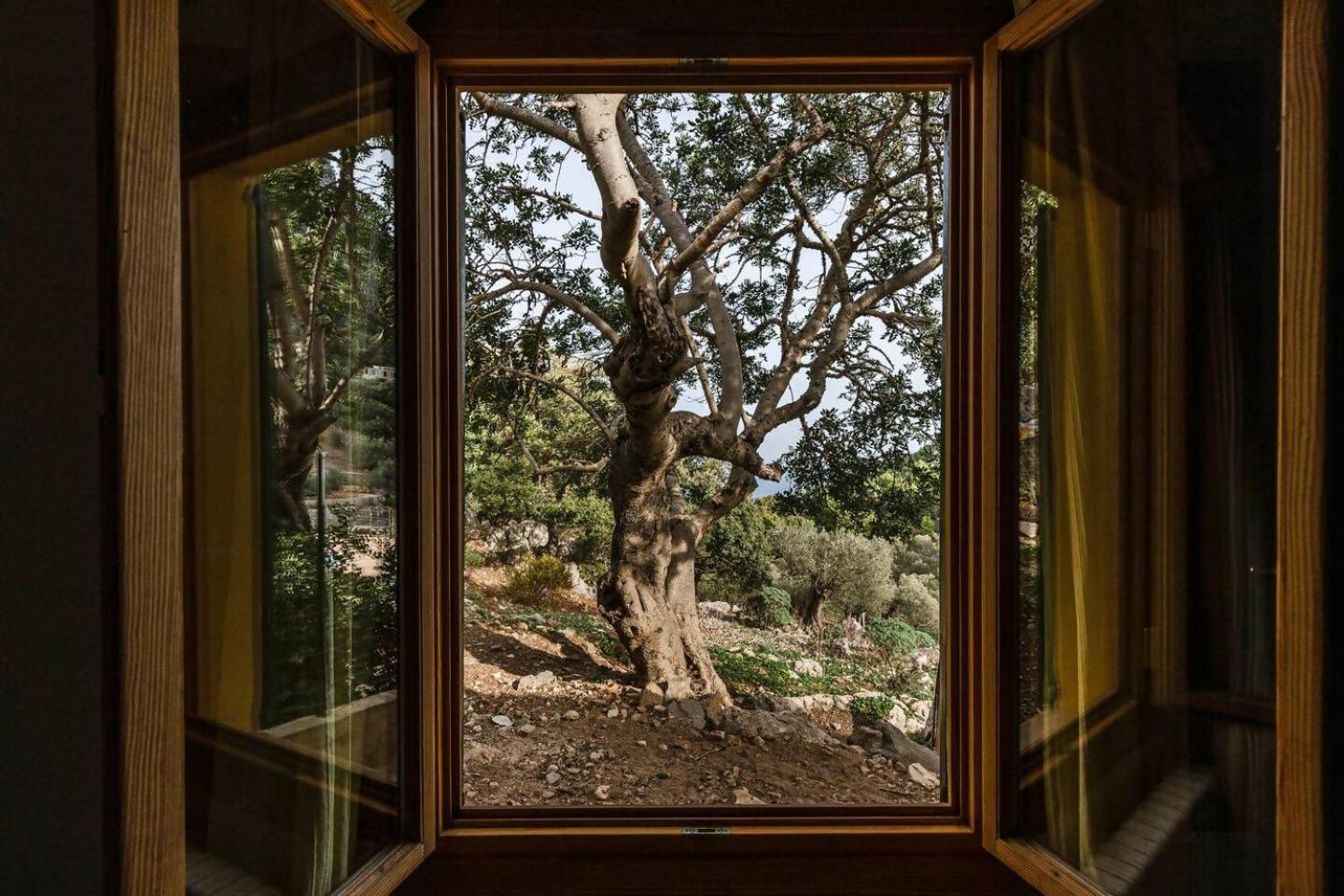 Casa Tramuntana Villa ไบเดมอสซา ห้อง รูปภาพ